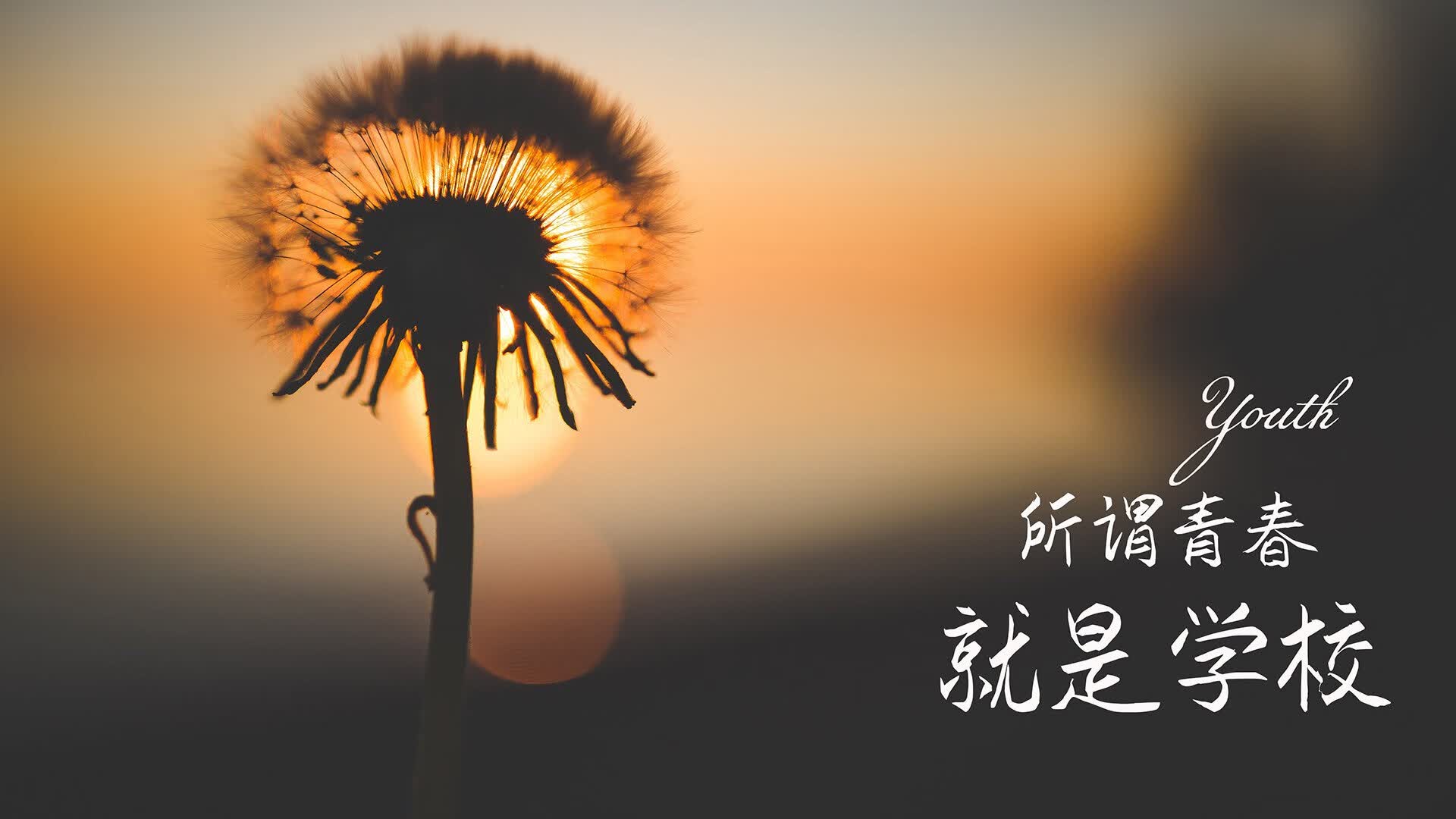 世界田径社区跑步节：全民参与与赛事结合模式，田径跑步世界纪录大全