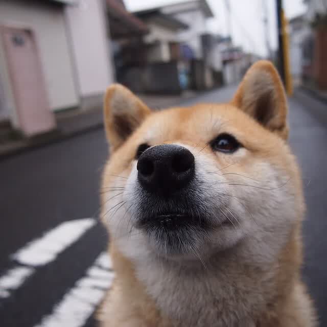 世界短道公开赛：规则透明化与安全设备升级并行优化竞赛环境，2021短道世锦赛在哪儿